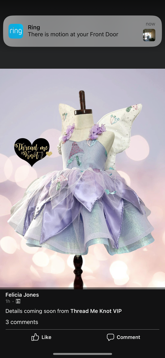 Rts size 5 dress, bloomers and quilted wings