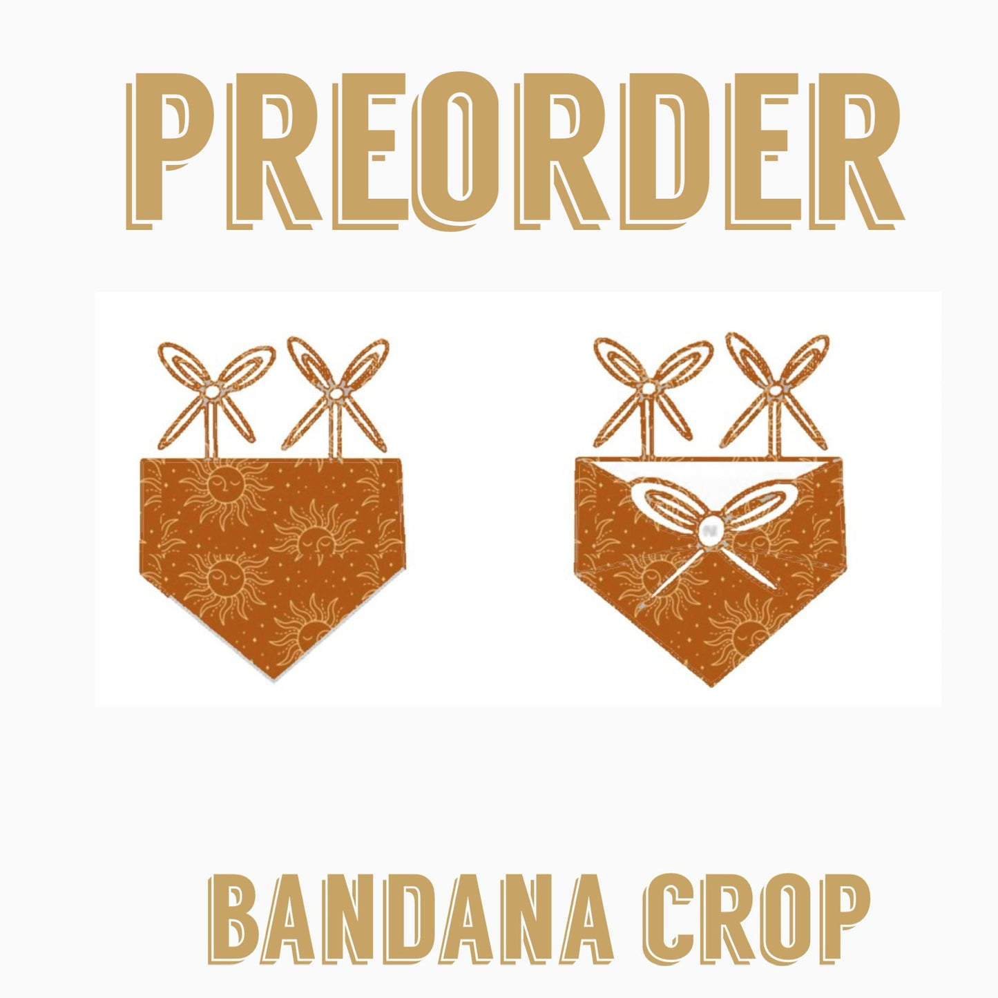 EPIC preorder | Bandana crop